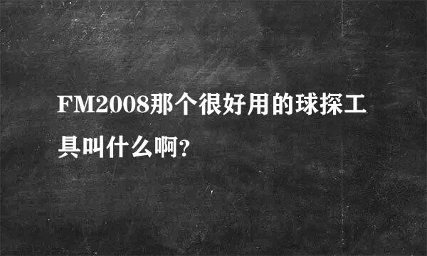 FM2008那个很好用的球探工具叫什么啊？