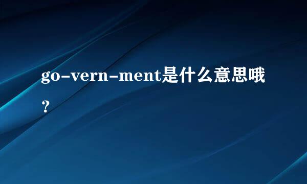 go-vern-ment是什么意思哦？