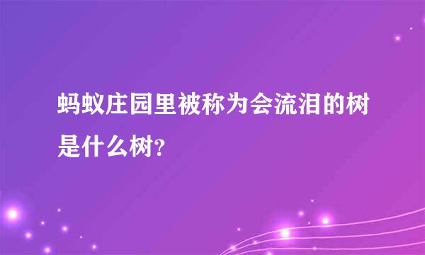 蚂蚁庄园里被称为会流泪的树是什么树？