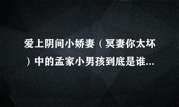 爱上阴间小娇妻（冥妻你太坏）中的孟家小男孩到底是谁，为什么后来就没有提到他