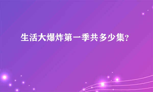 生活大爆炸第一季共多少集？