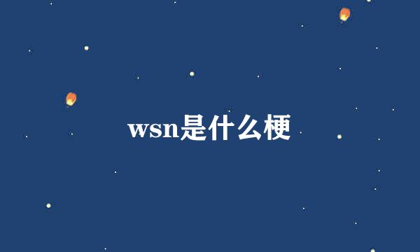 wsn是什么梗