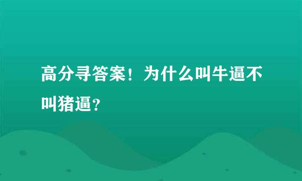 高分寻答案！为什么叫牛逼不叫猪逼？