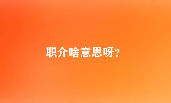 职介啥意思呀？