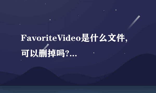 FavoriteVideo是什么文件,可以删掉吗??有没坏处??