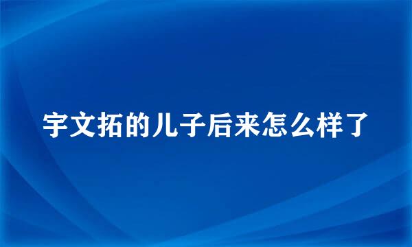 宇文拓的儿子后来怎么样了