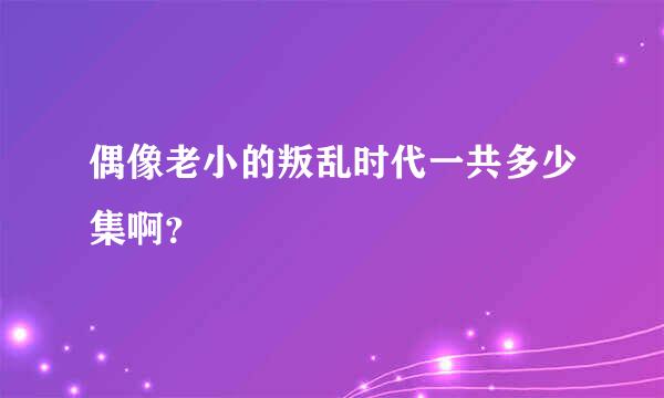 偶像老小的叛乱时代一共多少集啊？