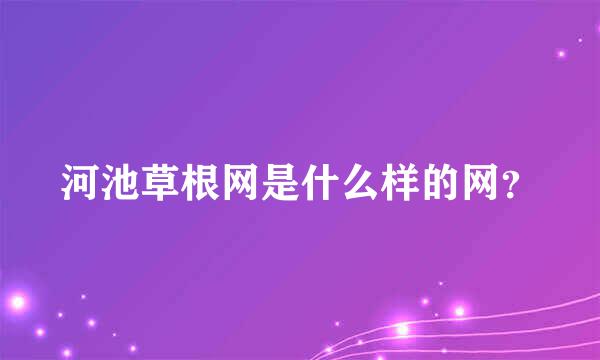 河池草根网是什么样的网？