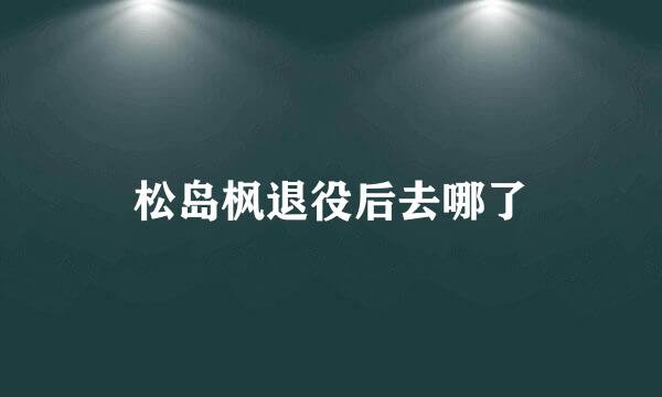 松岛枫退役后去哪了