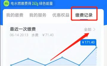 水电费怎么查询明细