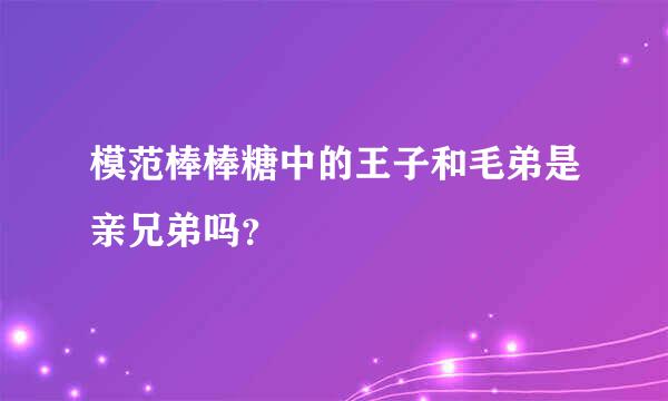 模范棒棒糖中的王子和毛弟是亲兄弟吗？