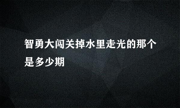 智勇大闯关掉水里走光的那个是多少期