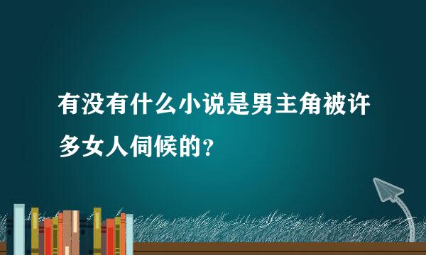 有没有什么小说是男主角被许多女人伺候的？