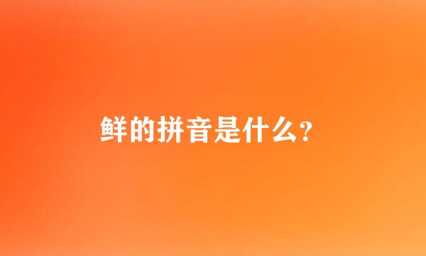 鲜的拼音是什么？