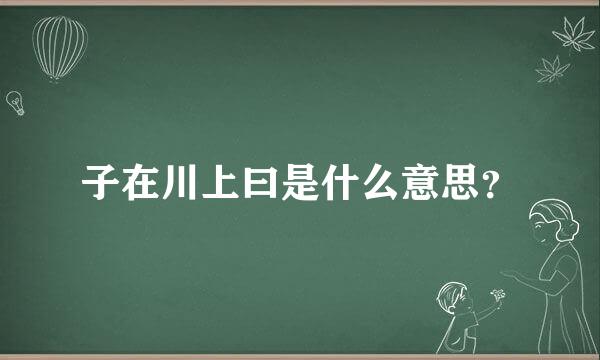 子在川上曰是什么意思？