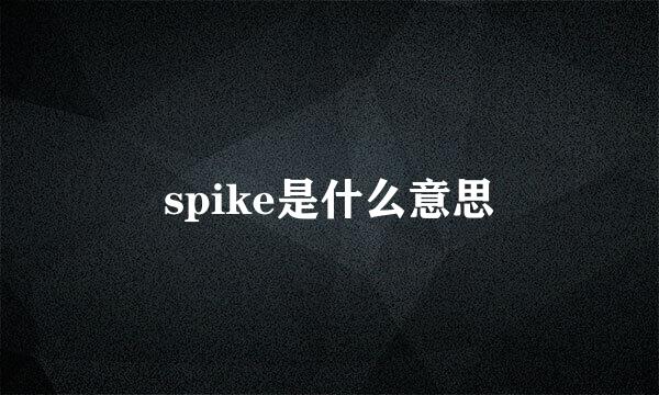 spike是什么意思