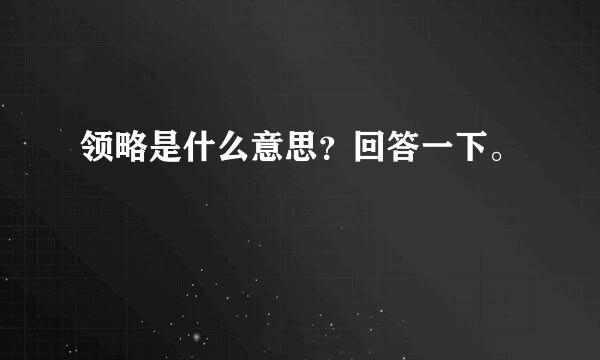 领略是什么意思？回答一下。