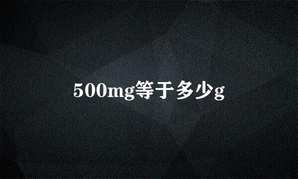 500mg等于多少g