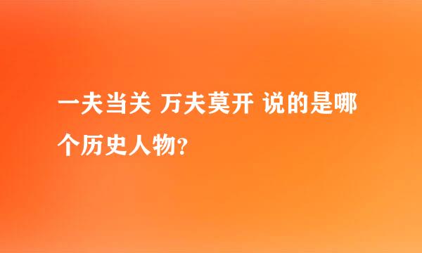 一夫当关 万夫莫开 说的是哪个历史人物？