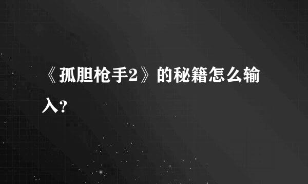 《孤胆枪手2》的秘籍怎么输入？