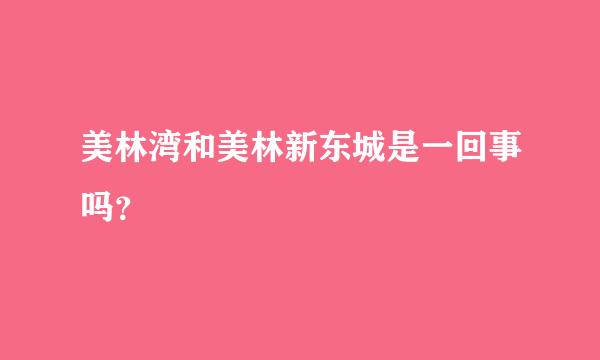 美林湾和美林新东城是一回事吗？