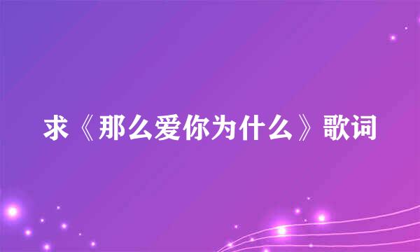 求《那么爱你为什么》歌词