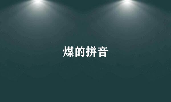 煤的拼音