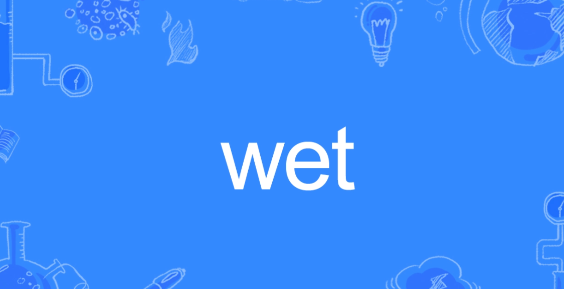 wet怎么读