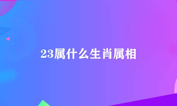 23属什么生肖属相