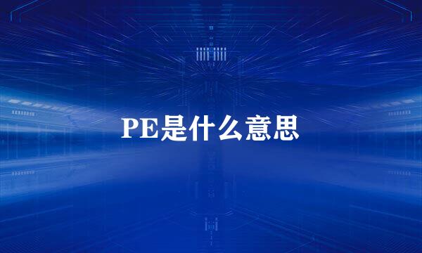 PE是什么意思