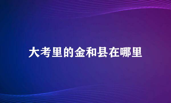 大考里的金和县在哪里