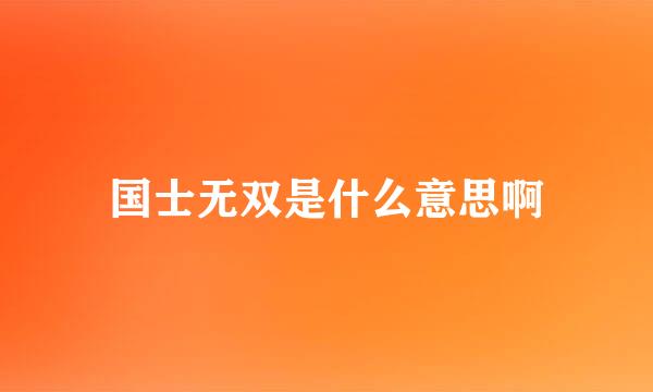 国士无双是什么意思啊