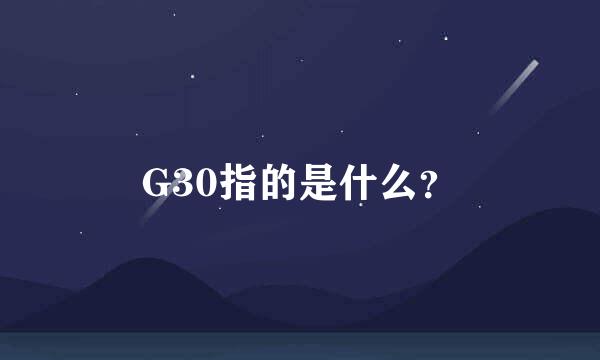 G30指的是什么？