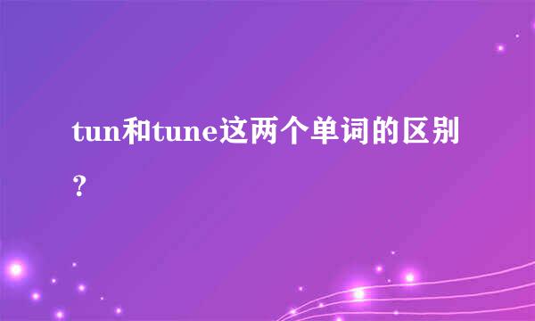 tun和tune这两个单词的区别？