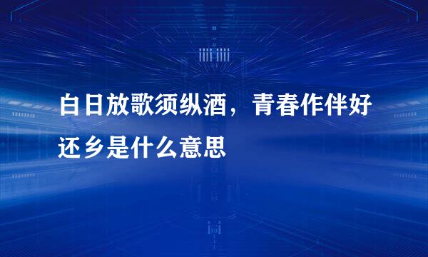 白日放歌须纵酒，青春作伴好还乡是什么意思