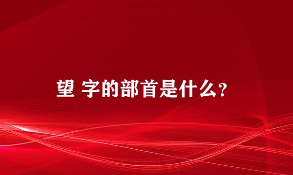 望 字的部首是什么？