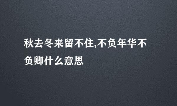 秋去冬来留不住,不负年华不负卿什么意思