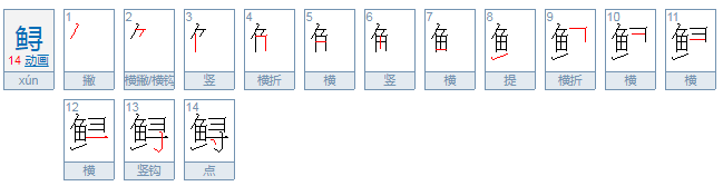 鲟怎么读？