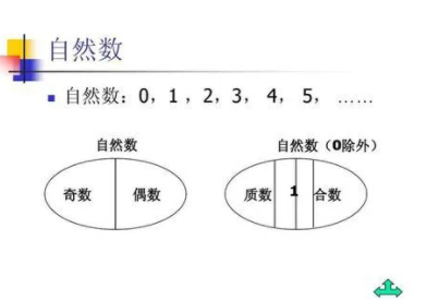 自然数是指哪些数字？