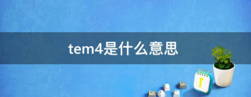 tem4是什么意思