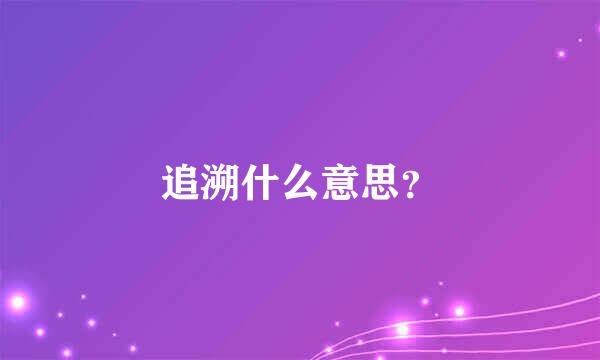 追溯什么意思？