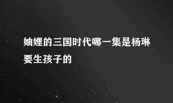 妯娌的三国时代哪一集是杨琳要生孩子的