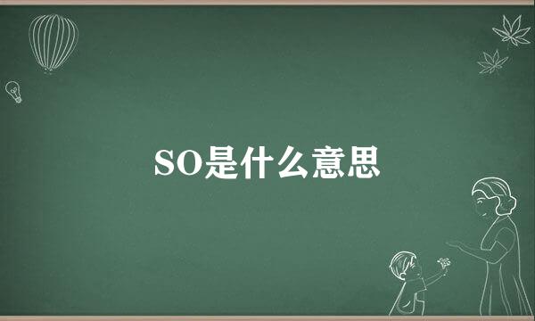 SO是什么意思