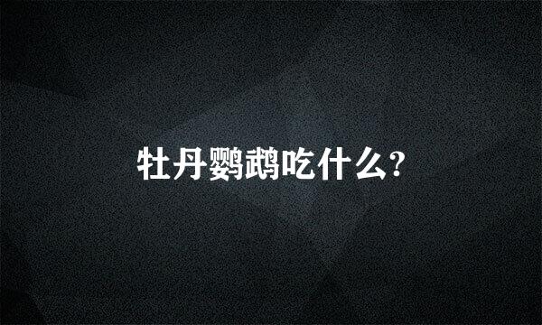 牡丹鹦鹉吃什么?