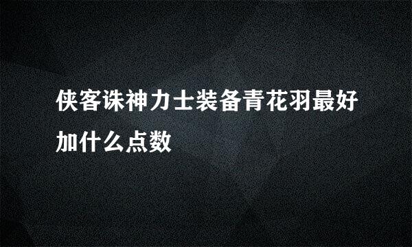 侠客诛神力士装备青花羽最好加什么点数