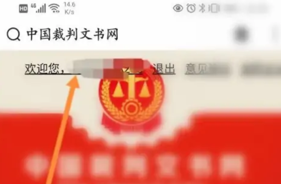 怎么从中国裁判文书网查看个人判决书