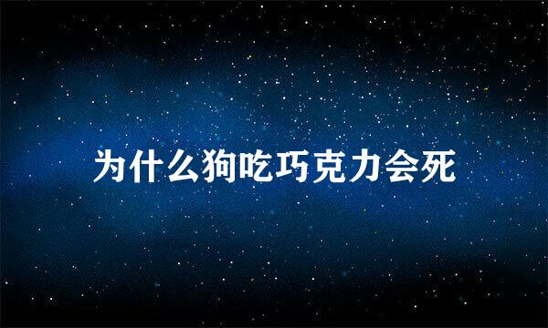 为什么狗吃巧克力会死