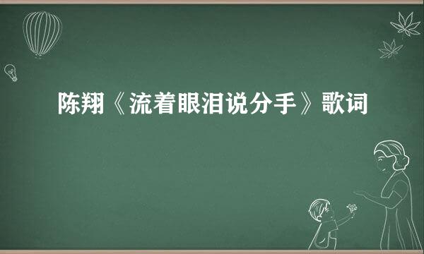 陈翔《流着眼泪说分手》歌词