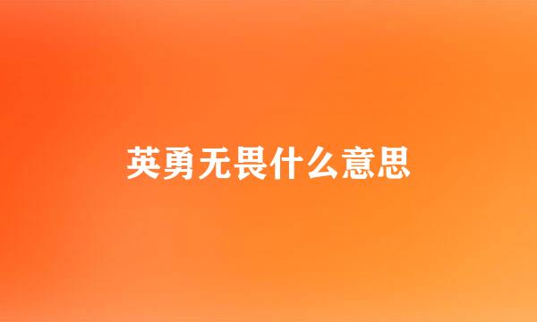 英勇无畏什么意思