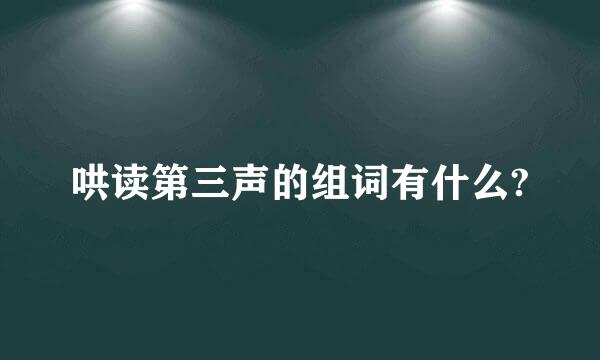 哄读第三声的组词有什么?